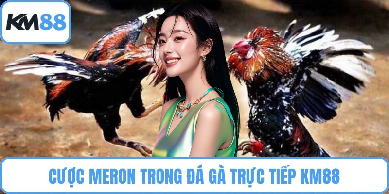 Đá Gà Trực Tiếp KM88