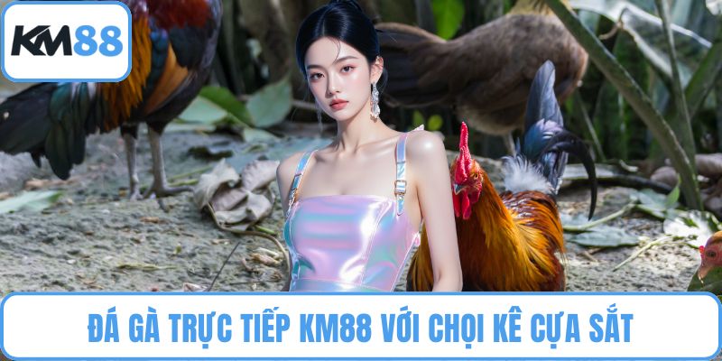 Đá Gà Trực Tiếp KM88