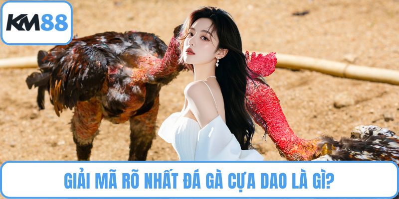 Đá gà cựa dao