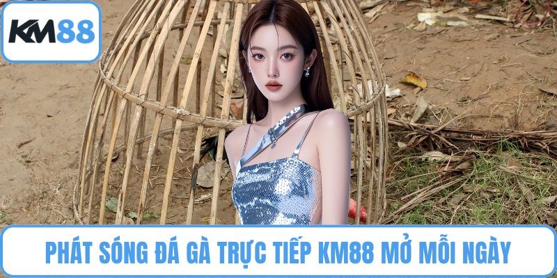 Đá Gà Trực Tiếp KM88