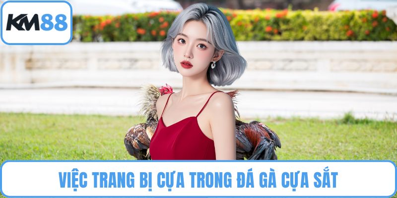 Đá Gà Cựa Sắt